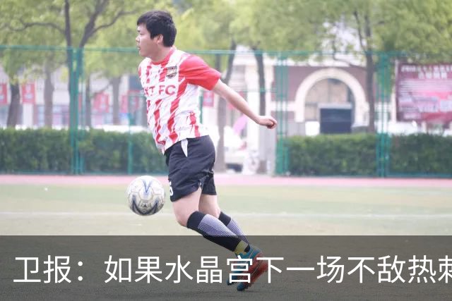 卫报：如果水晶宫下一场不敌热刺，主帅萨热可能下课