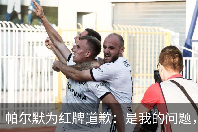 帕尔默为红牌道歉：是我的问题，会吸取教训