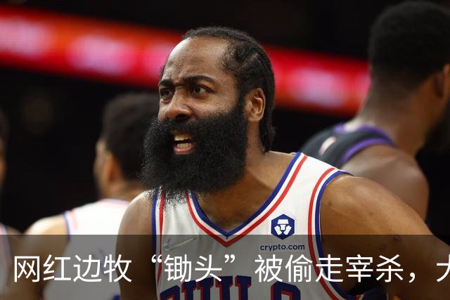网红边牧“锄头”被偷走宰杀，犬主最新回应：双方已和解，对方赔偿30万元，将全部捐给宠物救助机构