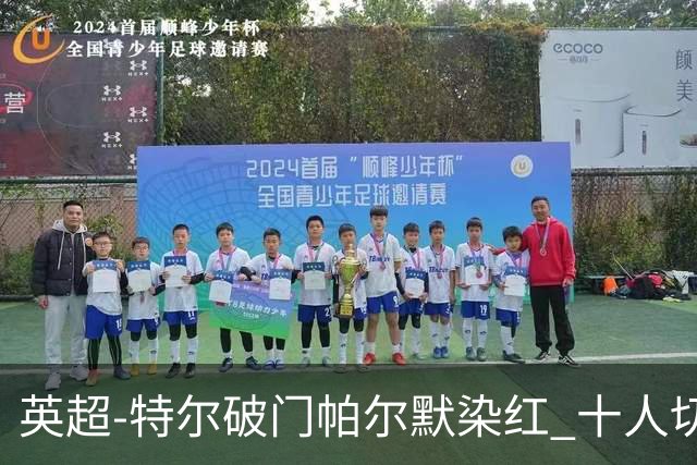 英超-特尔破门帕尔默染红 十人切尔西0-2送热刺两连胜