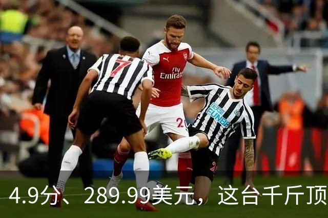 4.9分、289.99美元，这台千斤顶多了白色拉花
